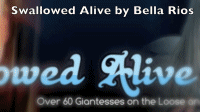 bellarios200x
